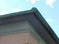 imag0342.jpg